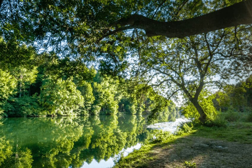 CHARENTE 2 1 1 Aguas tranquilas y arboles reflejados en el rio Charente durante un crucero fluvial