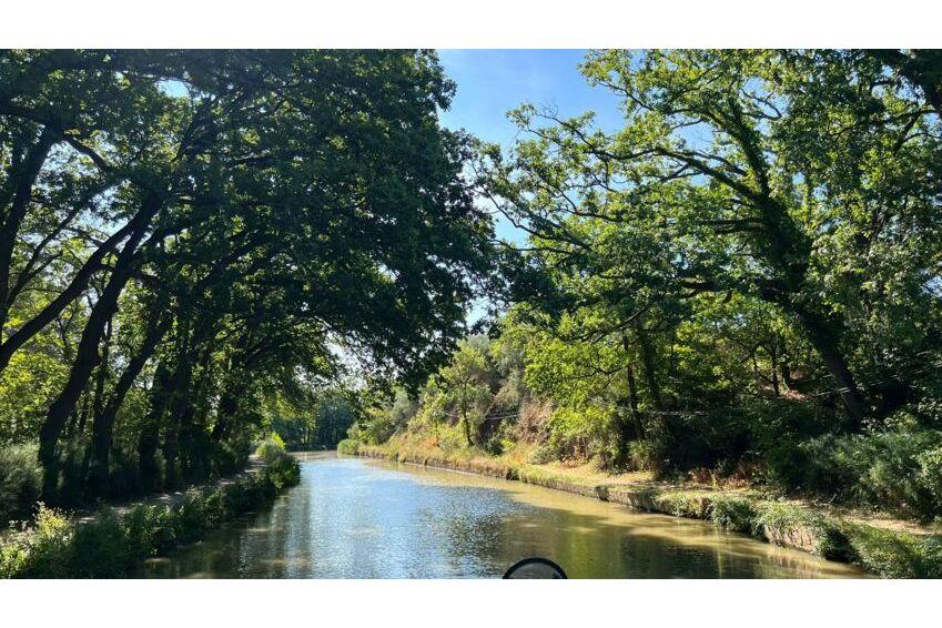 Bateau sans autorisation Canal Du Midi | Danfluvial Canal cubierto de vegetación y árboles frondosos para recorrer en un barco sin permiso con Danfluvial.