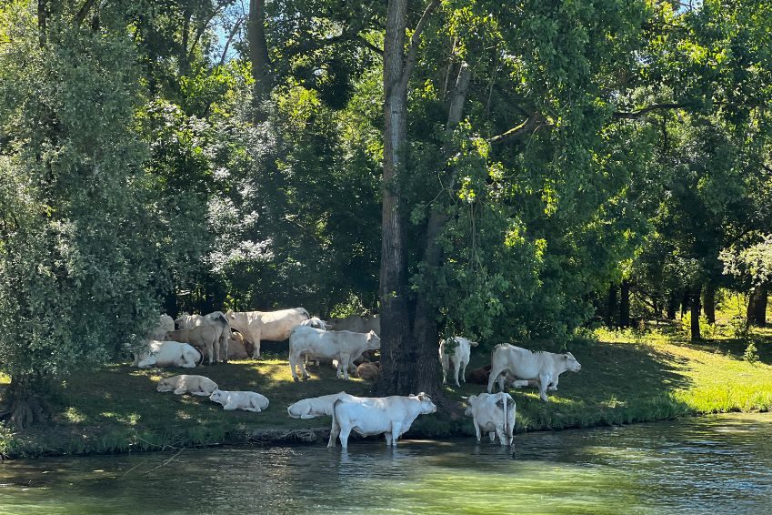 Viajar por Francia en la naturaleza | Danfluvial Viajar por Francia en la naturaleza | Danfluvial